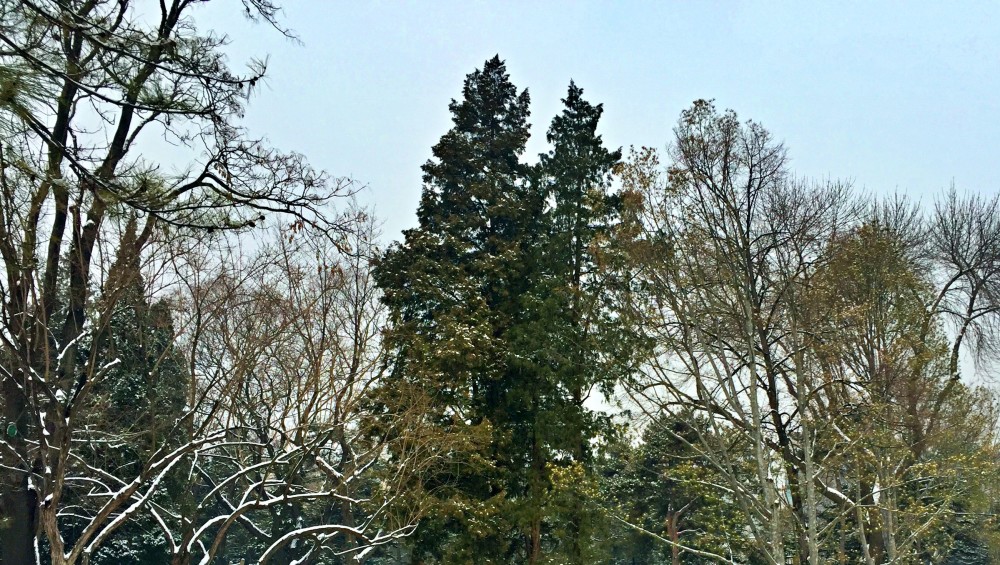 由瞿父山再往东四百里,有座山名叫句余山,山上不