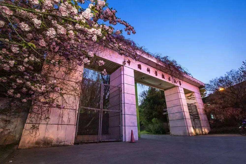 专业级别排名2020_2020年中国大学专业排名