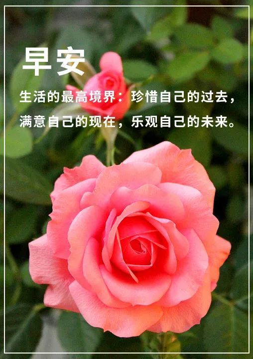早安语录正能量早安心语句子