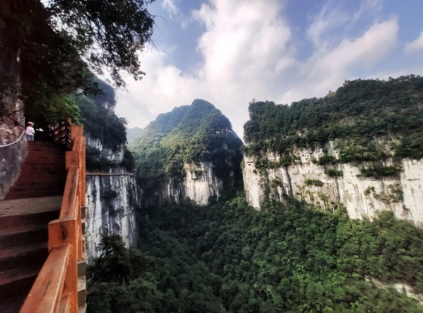 油杉河风景区位于大方县的东北端,和著名的百里杜鹃林带一山之隔,有一