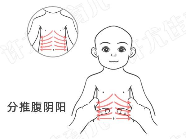 分推腹阴阳【来源:许尤佳育儿】