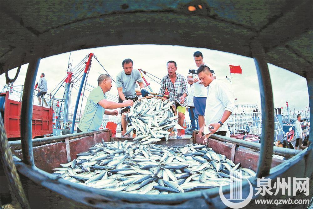 8月1日,福建海域的灯光围(敷)网,张网,刺网,桁杆虾拖和笼壶作业渔船