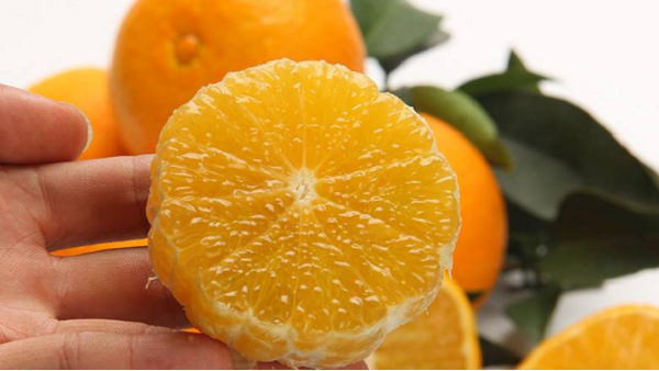 脐橙的功效与作用都有哪些？