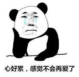 安全|“乘风破浪的小姐姐”为 “披荆斩棘的小哥哥”设下的圈套