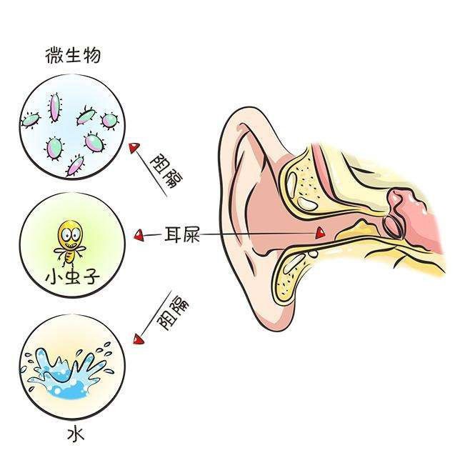 耳屎很多耳朵很癢這樣掏耳朵才不會受傷