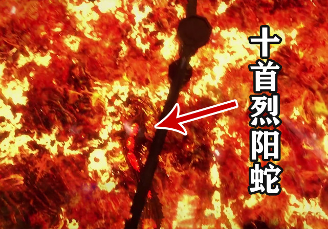 斗罗大陆唐晨放出十首烈阳蛇唐三解锁新技能唐门豪火球术