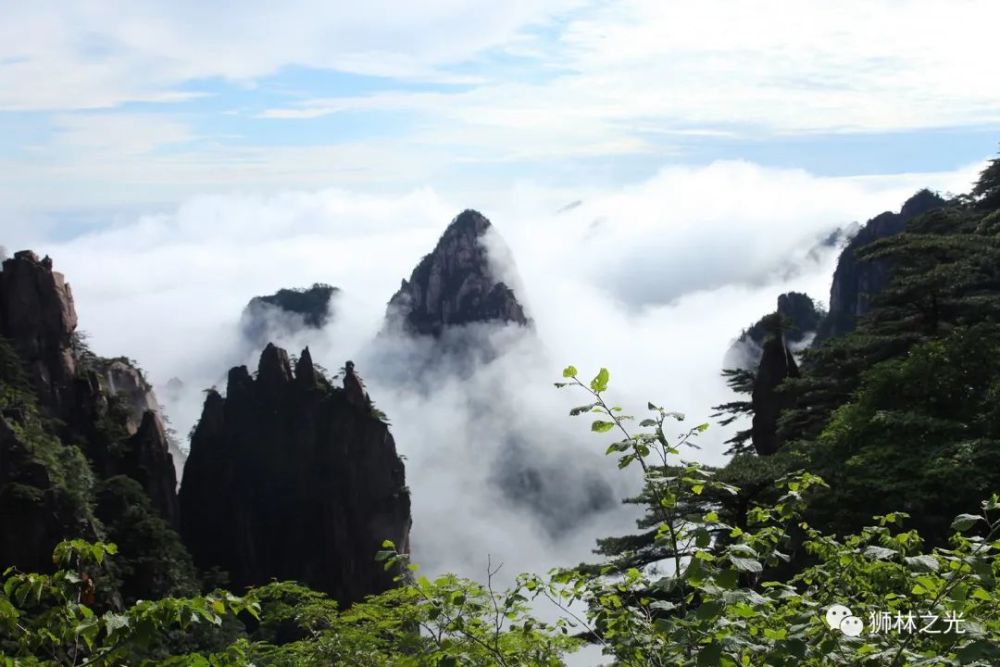 夏日避暑胜地:18度的黄山夏热蒸郁,暑意难消.