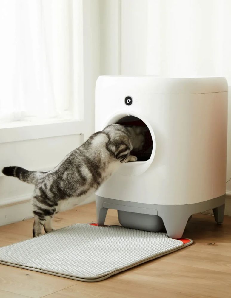 久等了小佩智能全自动猫厕所来了是猫咪喜欢的洁净空间