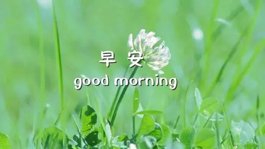 星期五早上好问候朋友早安句子,唯美表情图片