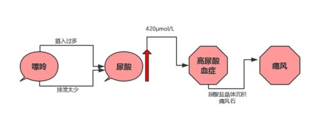 尿酸是嘌呤经一系列氧化分解后形成的最终代谢产物,其60%以上需经肾脏