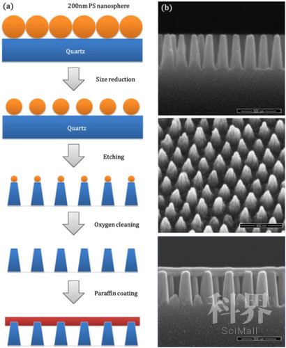 纳米结构|“蛾眼”纳米结构可有效防结冰