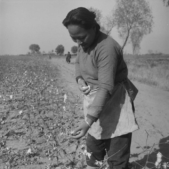 1933到1946年期間農忙生活老照片