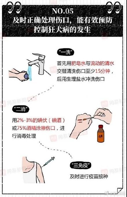 及时正确处理伤口能有效预防控制狂犬病的发生