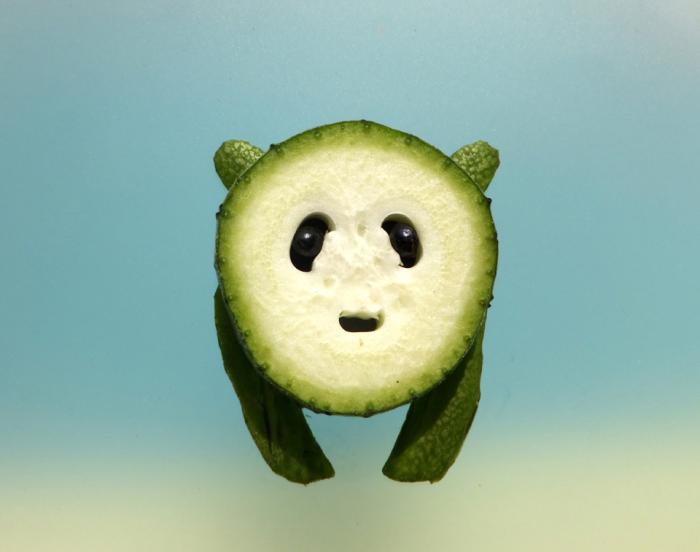简单儿童蔬菜动物造型图片