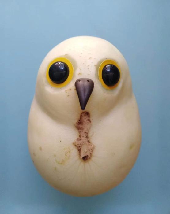 丝瓜熊猫,菜叶鸵鸟……男子用蔬菜创造"动物世界"