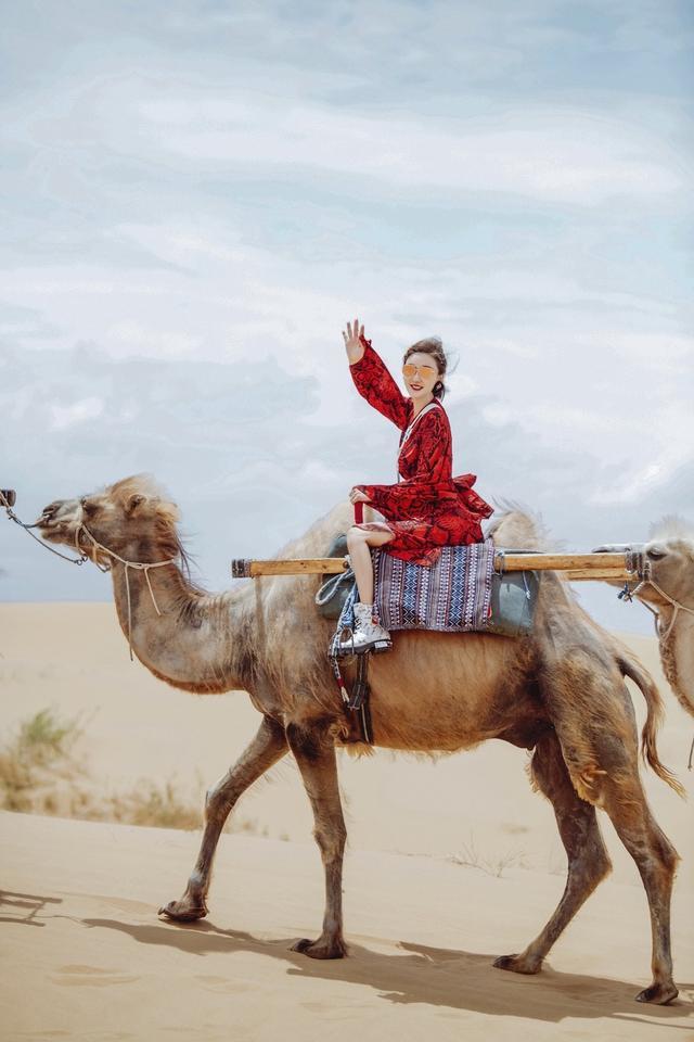 妻子团沙漠上骑骆驼蔡少芬风姿绰约吉娜穿碎花裙少女感满满