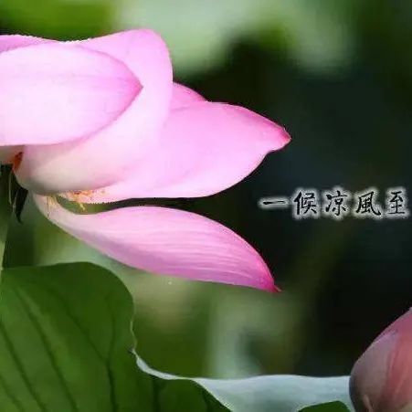 腾讯内容开放平台