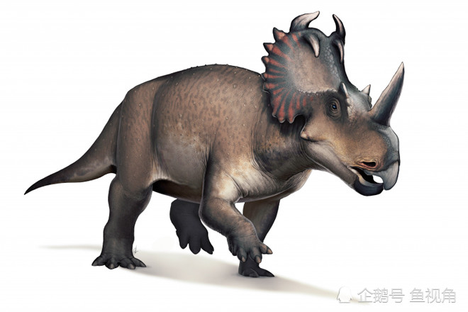 恐龙也会得癌?畸形化石显示,7600万年前恐龙也深受骨癌之苦!