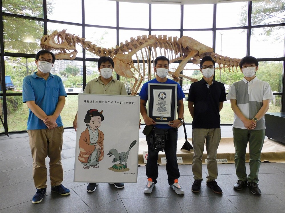 吉尼斯世界纪录|仅鹌鹑蛋大小！日本发现世界最小的恐龙蛋化石，获吉尼斯世界纪录