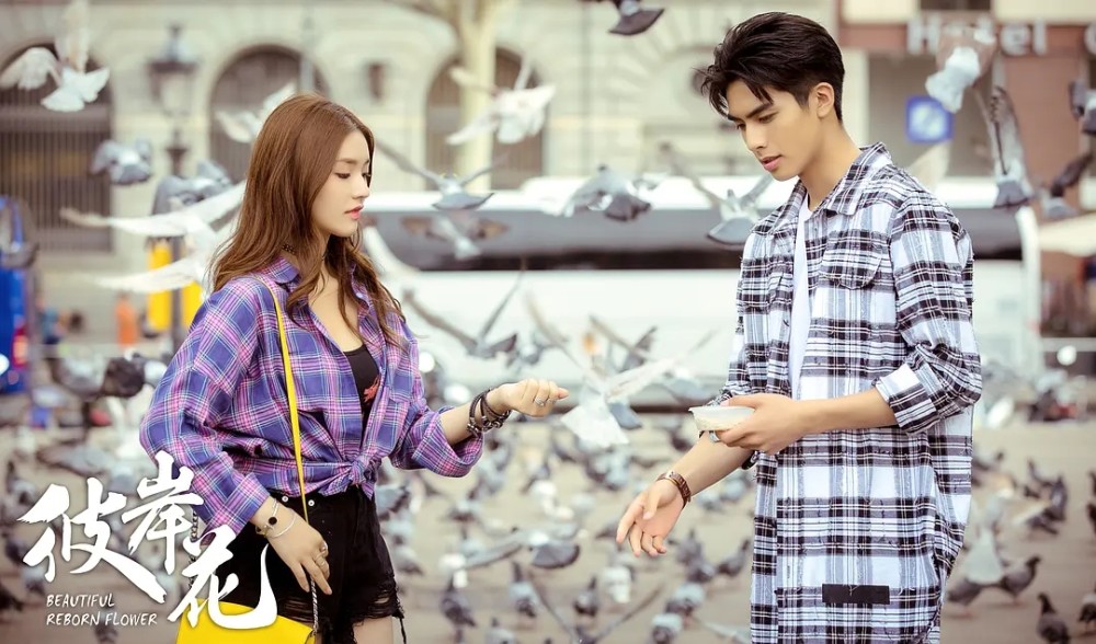 林允|上半年最令人失望五部剧：你若全都中招，真的非常佩服你！