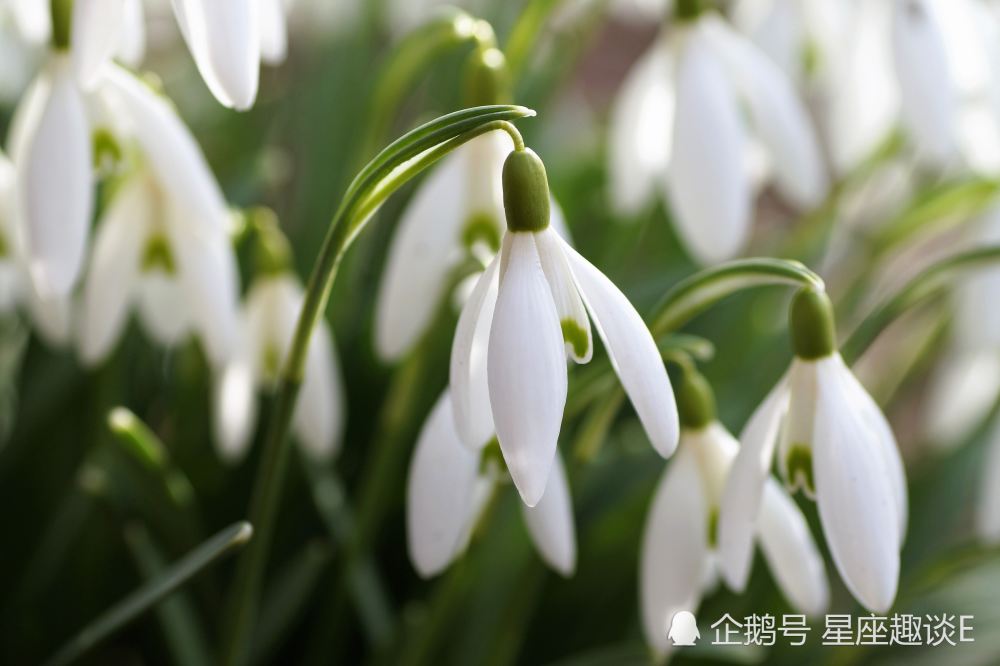 8月7日星座运势 白羊乐观豁达 狮子小心谨慎 摩羯有条不紊 腾讯新闻