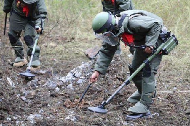 20分钟相当于人类25小时排雷鼠效率奇高已清理200万平方米雷区