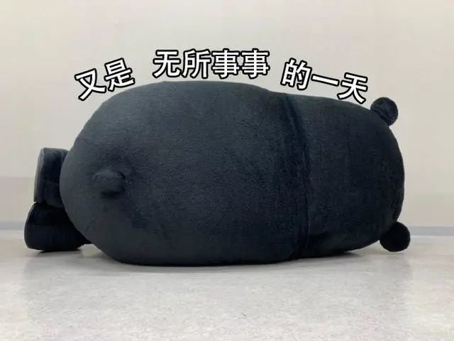 熊本熊表情包又是无所事事的一天