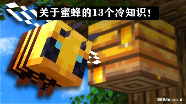 Minecraft蜜蜂养殖指南 关于蜜蜂 你可能不知道的13个冷知识 腾讯网