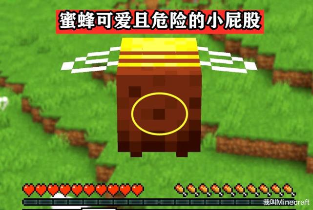 Minecraft蜜蜂养殖指南 关于蜜蜂 你可能不知道的13个冷知识 腾讯网