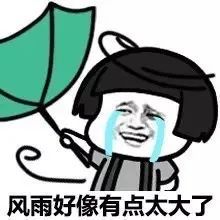 圆规排行_超大型“圆规”来袭!比“狮子山”还厉害,冷空气加速冲向文山……
