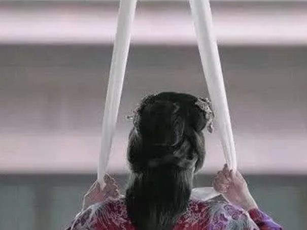 琅琊榜为什么宸妃宁愿死也不想苟活下来替赤焰军和自己的儿子沉冤昭雪