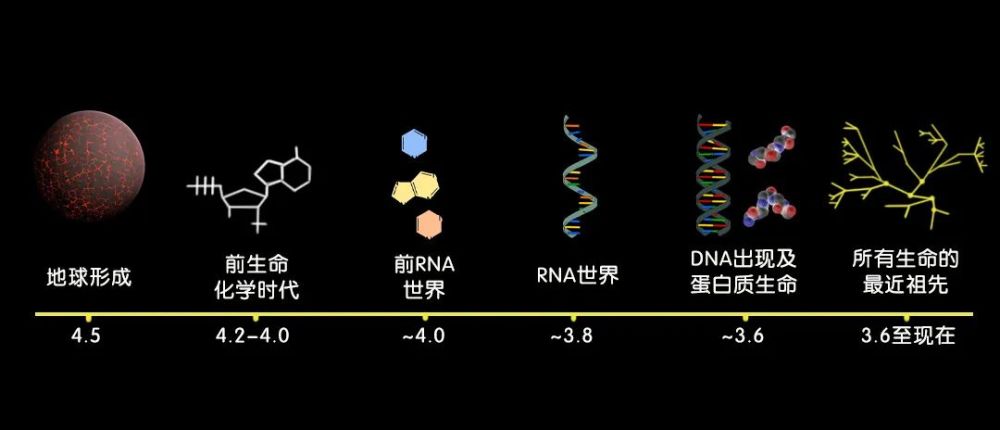 生命的起源|关于生命起源的4项著名研究，我们离最终答案还很远