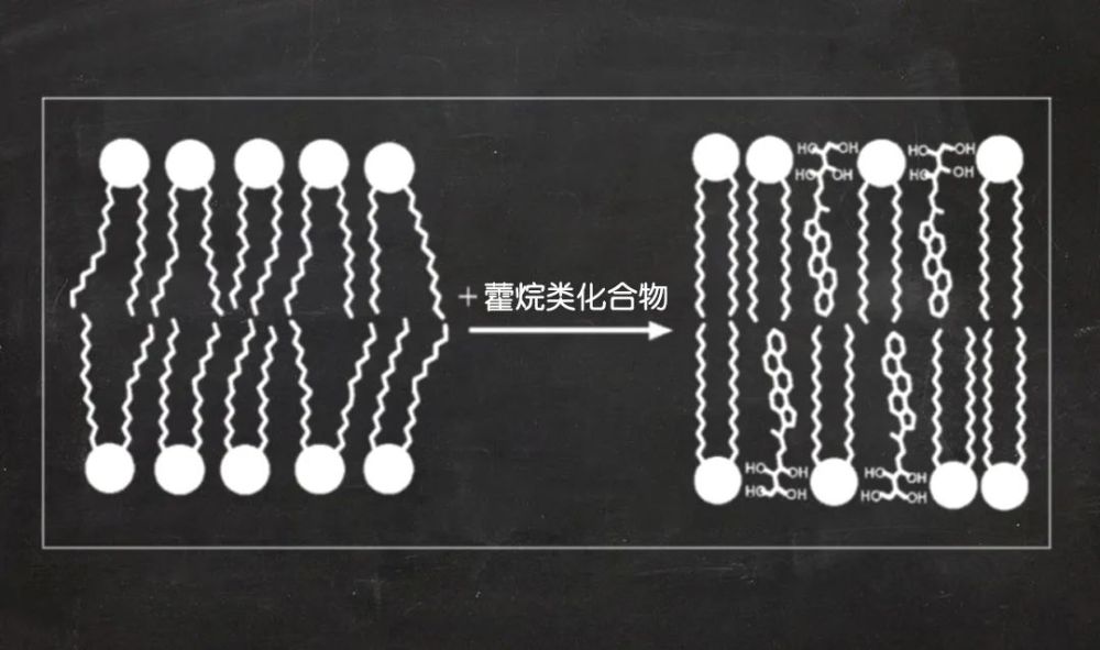 生命的起源|关于生命起源的4项著名研究，我们离最终答案还很远