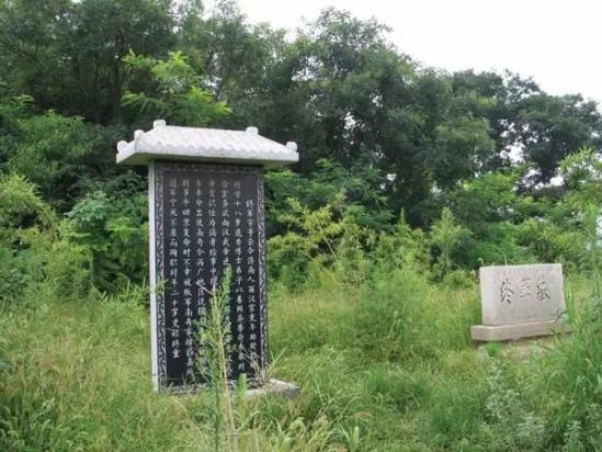 弱冠系虏请长缨的汉终军,凭什么名垂青史?