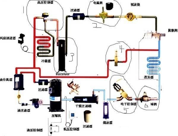 冰箱千万不要和什么挨着否则易发生爆炸危险那超市的怎么说