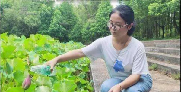 基础研究|北京日报评论：还是要在全社会倡导甘坐冷板凳精神