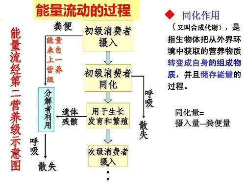 科学家|为什么人类总吃食草动物，很少吃食肉动物？科学家：吃不得