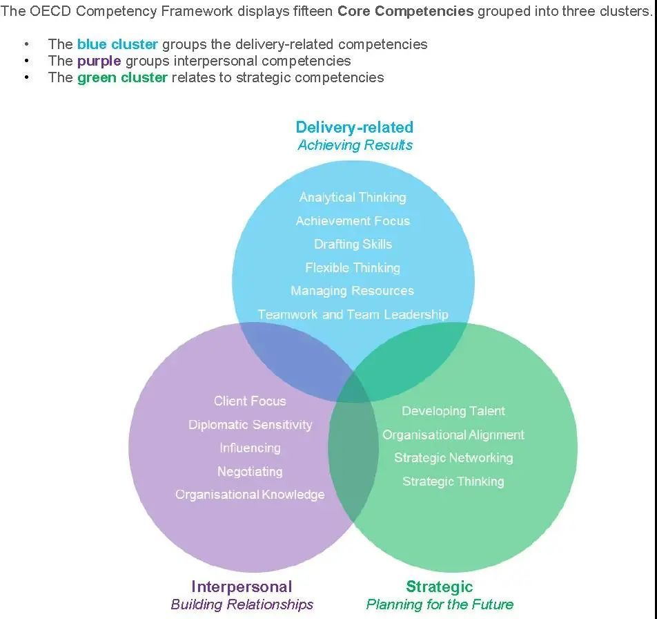 oecd核心素養圖示
