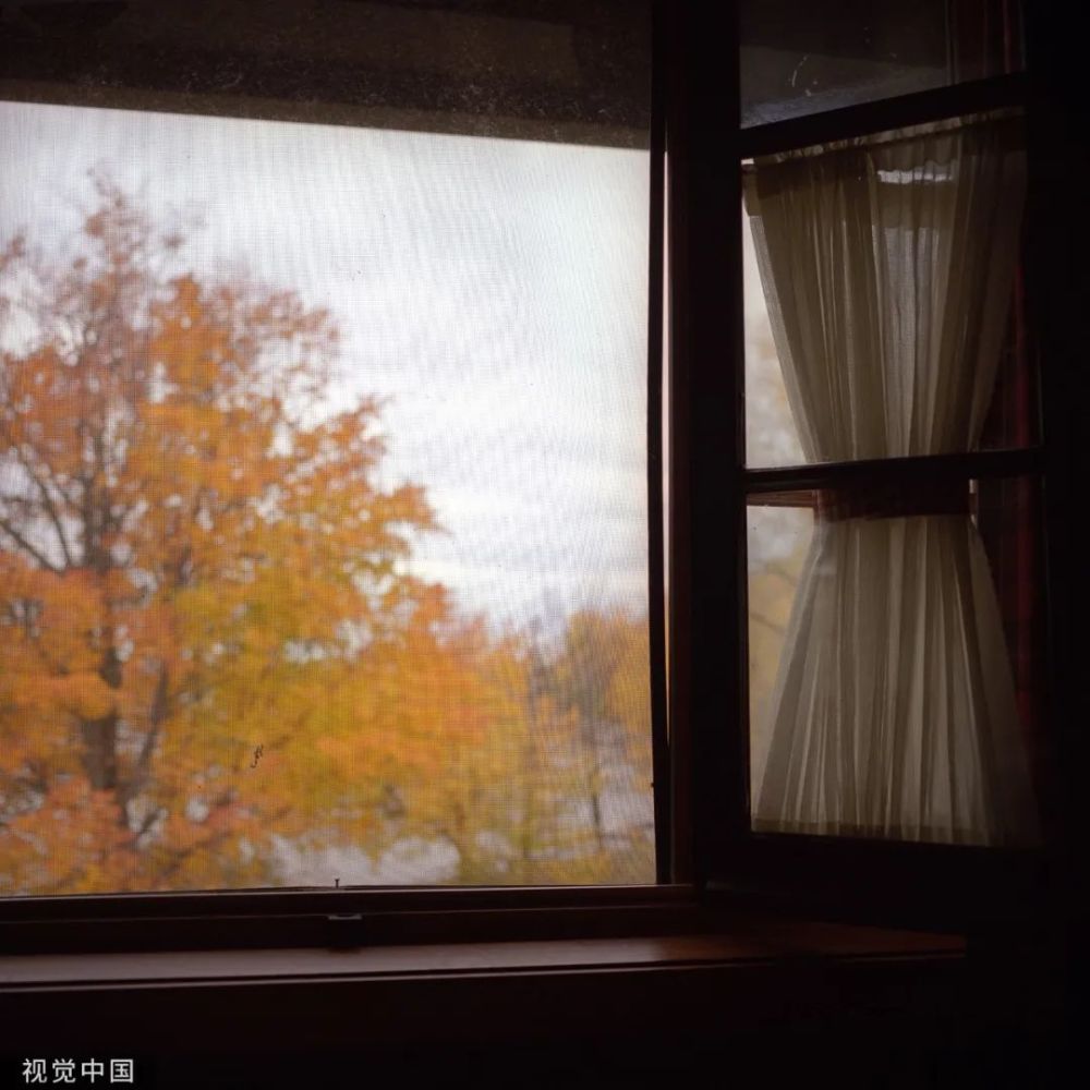 品读|品读｜天亮前后