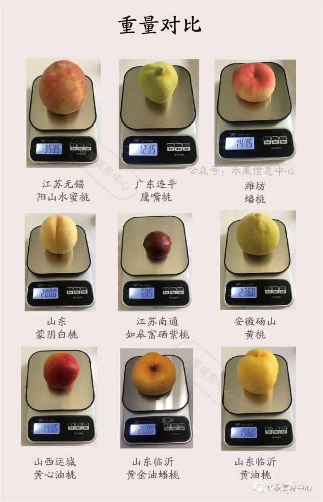 9款桃子测评 吃桃入门指南_腾讯新闻