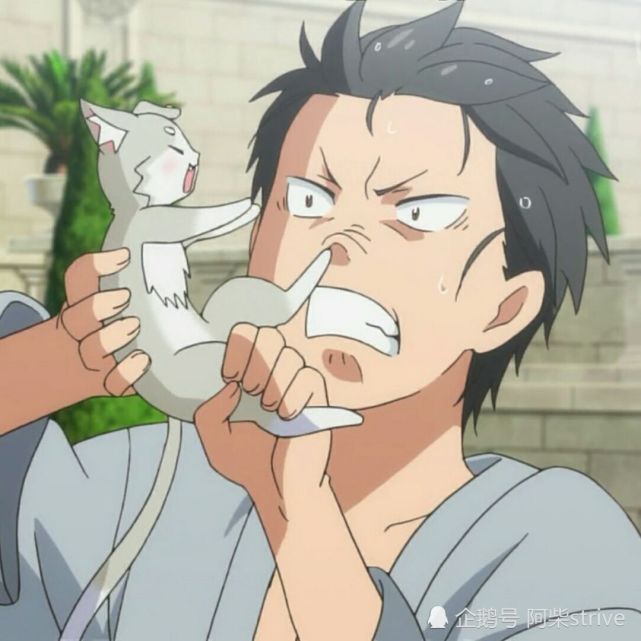 的帮手可不好找|翠碧丝|又双|从零开始的异世界|罗兹瓦尔|费雷德莉卡