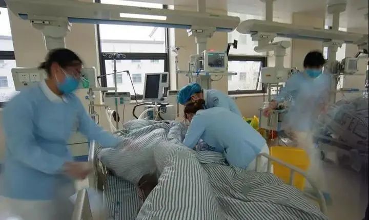 多脏器衰竭|浙江女大学生突然高烧、多脏器衰竭，身上多处淤青！竟是染上这种病毒……