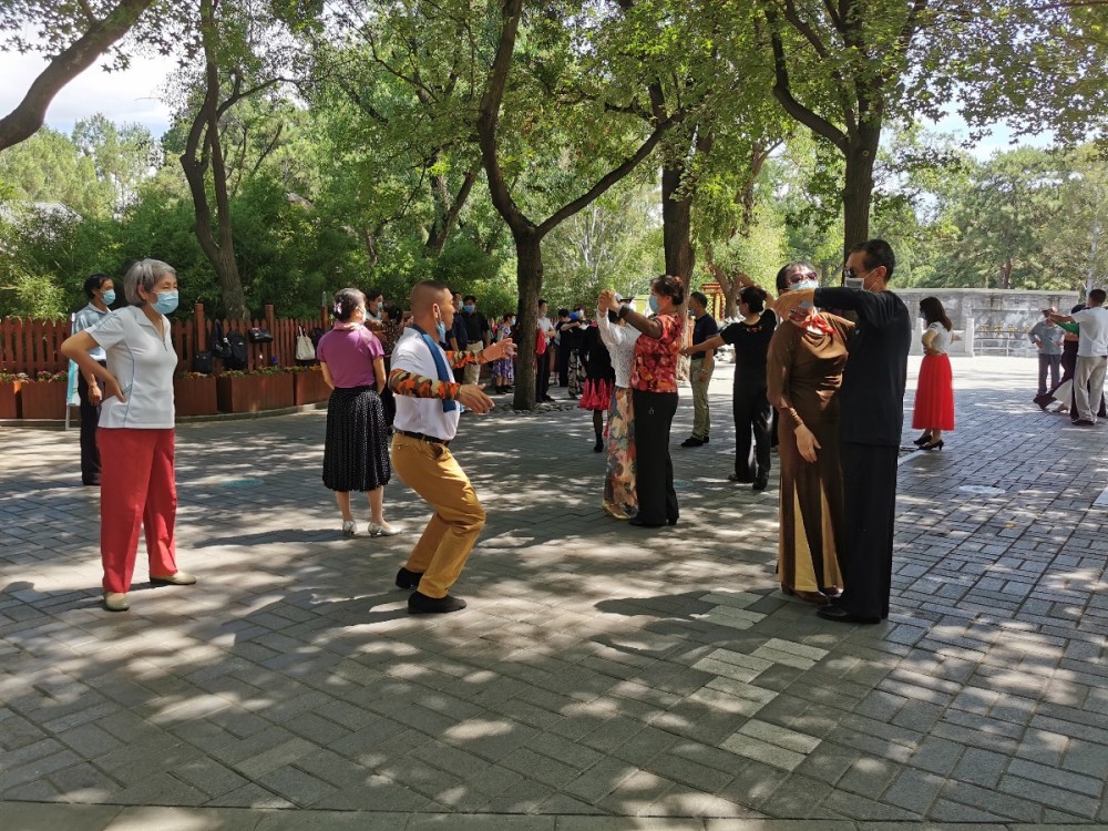 公园|游园文明多了，但这个问题仍难治