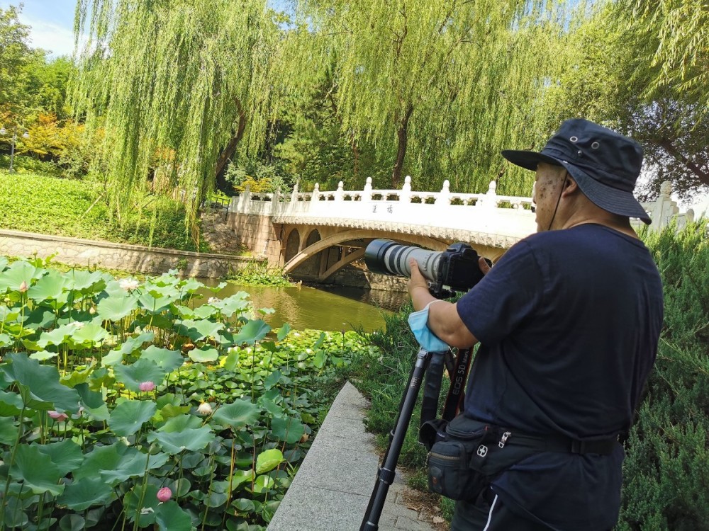 公园|游园文明多了，但这个问题仍难治