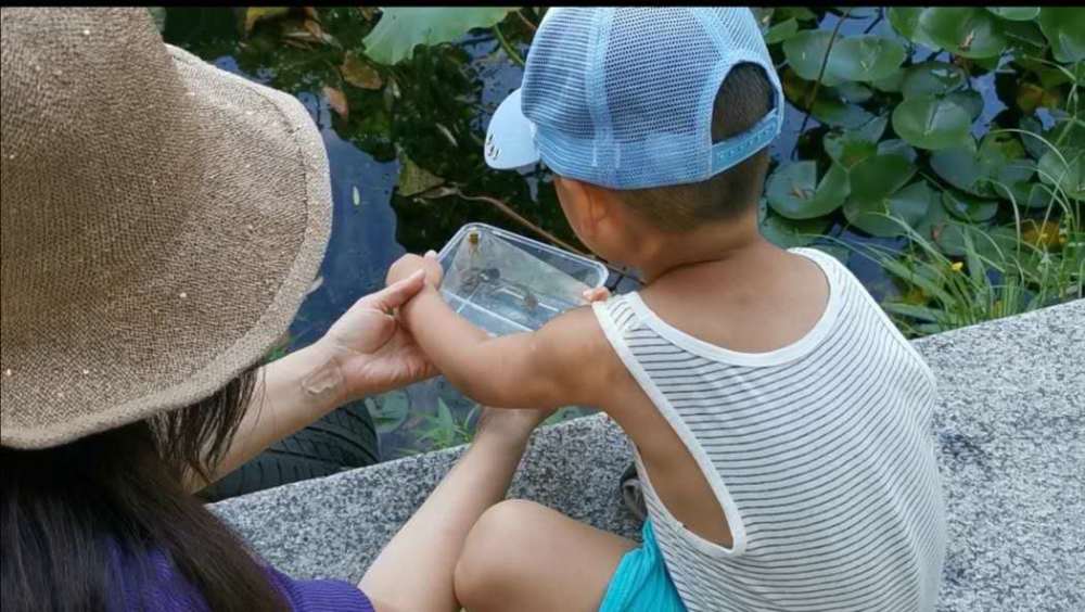 公园|游园文明多了，但这个问题仍难治