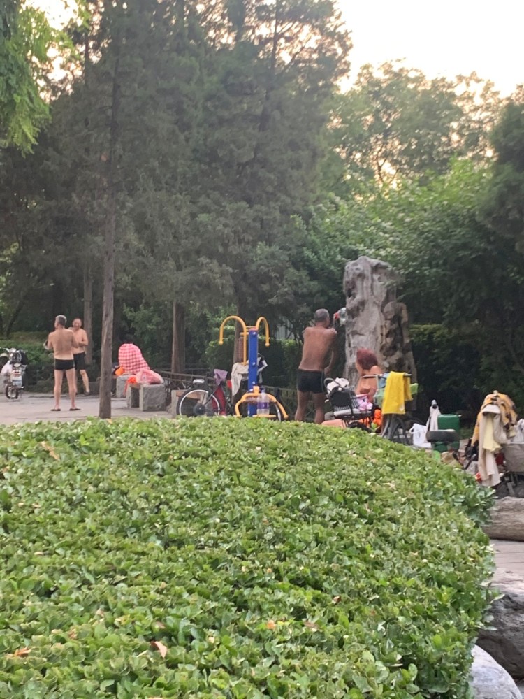 公园|游园文明多了，但这个问题仍难治