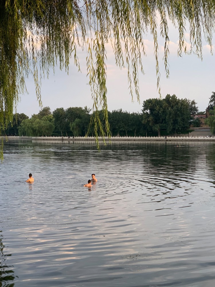 公园|游园文明多了，但这个问题仍难治