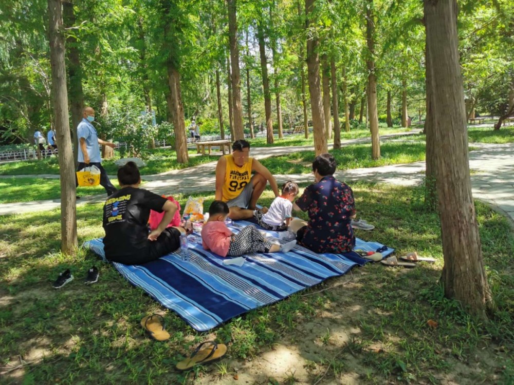 公园|游园文明多了，但这个问题仍难治