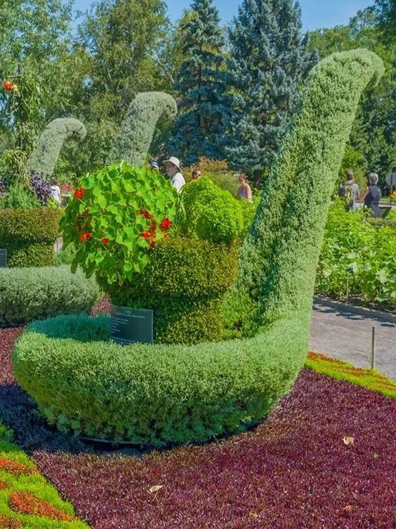 世上竟有如此绿植!活这么久,第一次见!开眼界了!