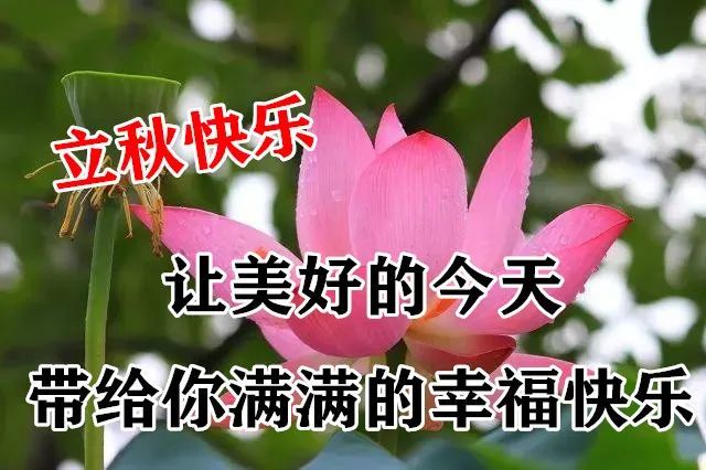 超级漂亮唯美的立秋气节问候语大全 立秋海报壁纸祝福图片 立秋群发